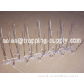 LB-53 Polycarbonate Base Stainless steel Bird Spike